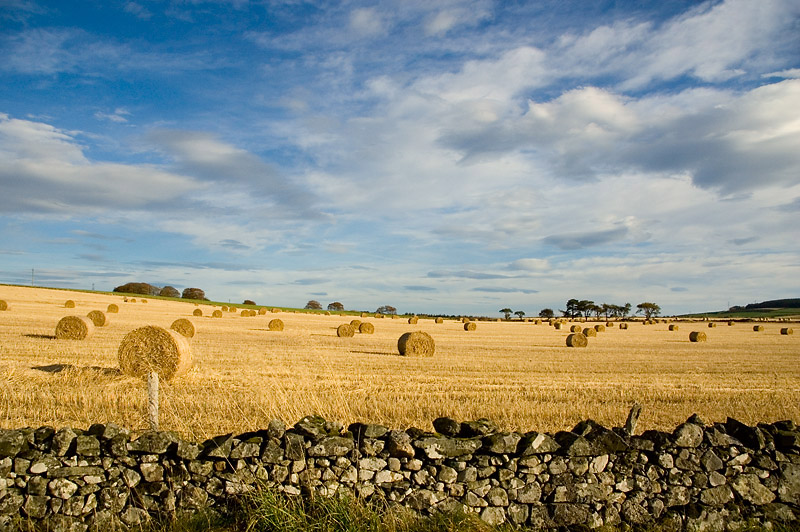 30th October 2011 <br> Sunny October Sunday