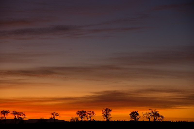 7th November 2011  red sky