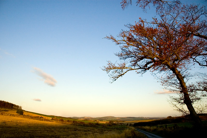 12th November 2011 <br> in search of the sun