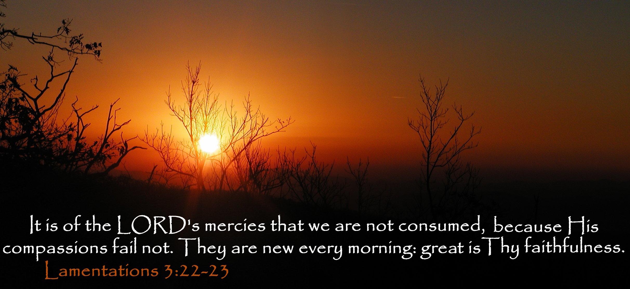Lamentations 3: 22-23