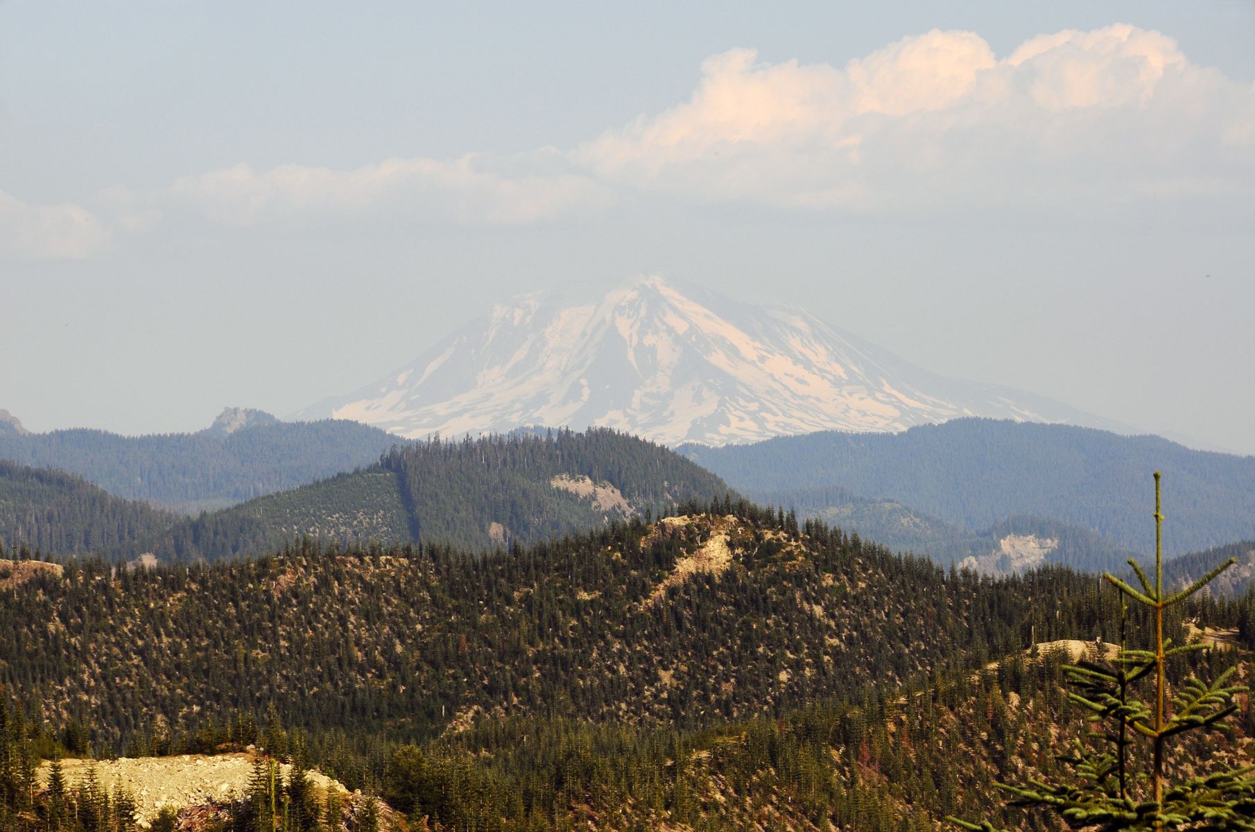Mt Ranier from Mt St Helens.jpg