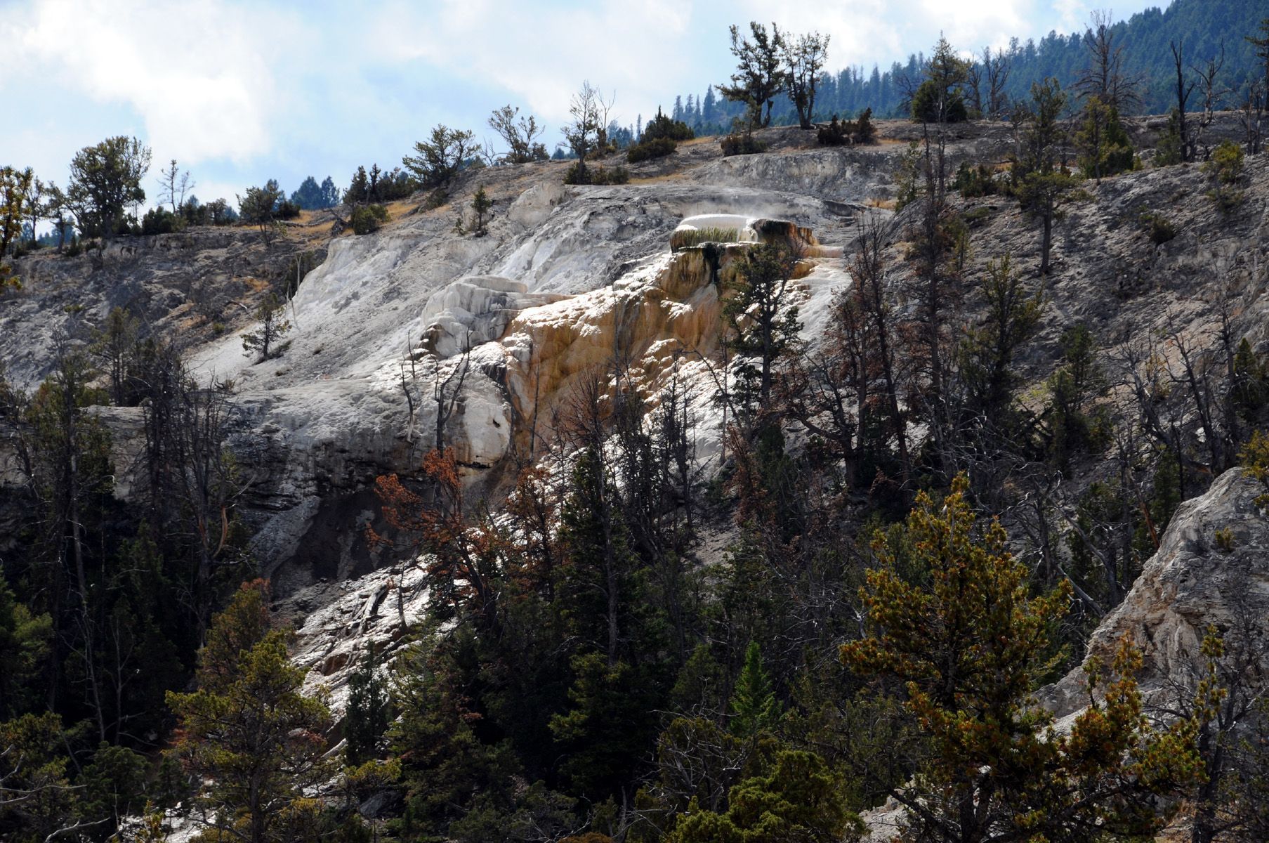 Yellowstone NP Geyser Crystal Buildup.jpg