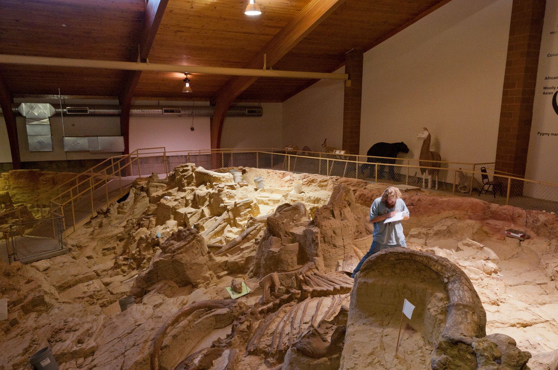 Mammoth Dig Goes On.jpg