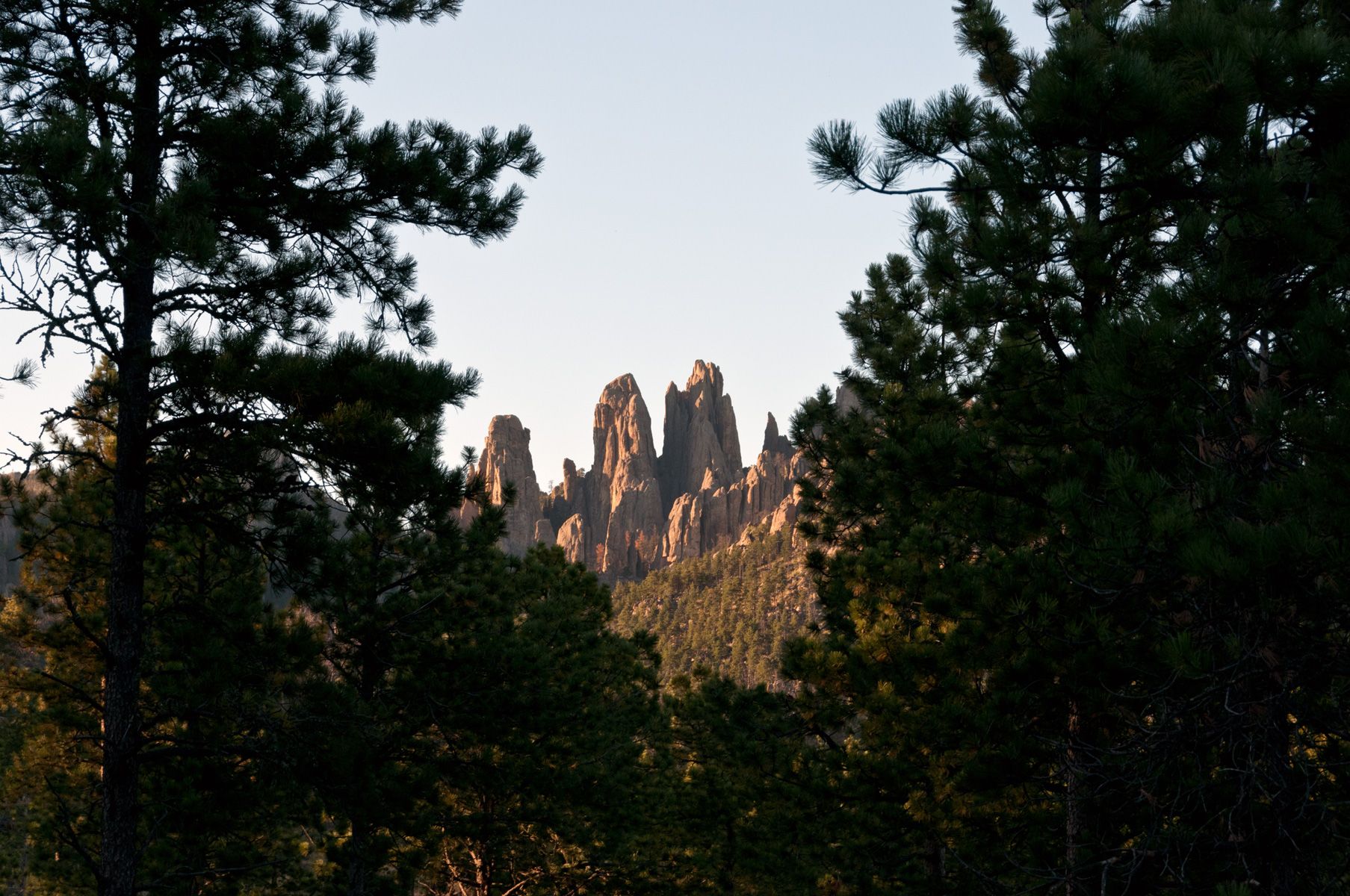 Custer State Park SD Needles.jpg