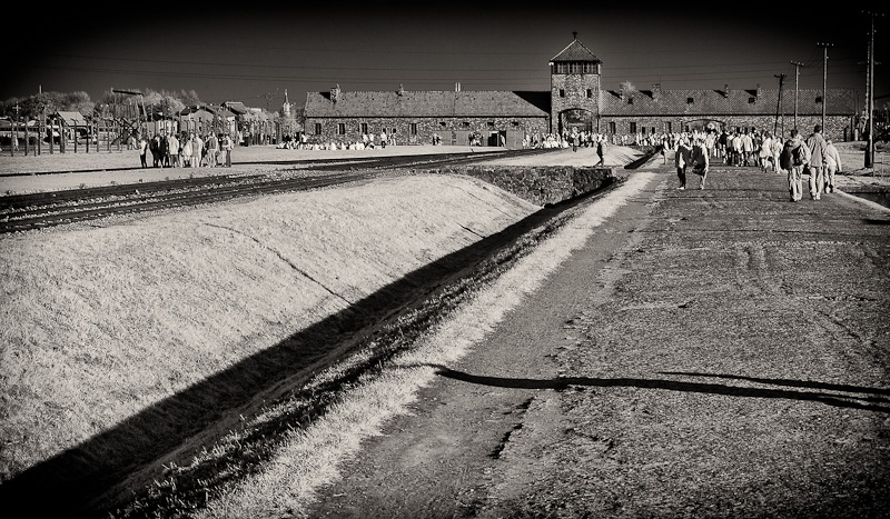 Auschwitz-Birkenau 3