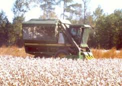 3 - combine.jpg