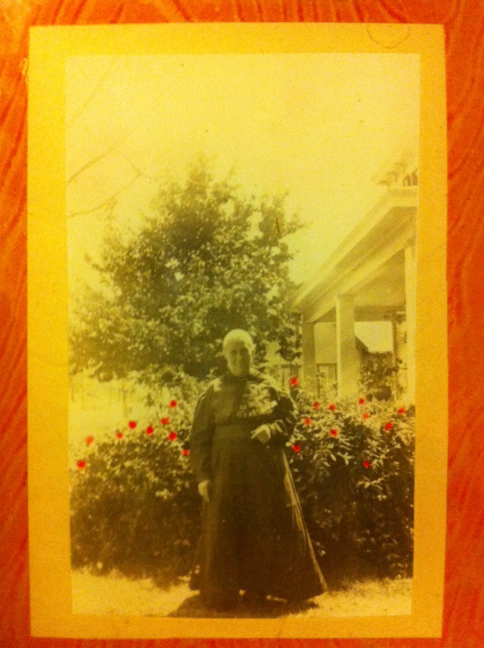 Marthas Grandmother Thompson_reduced.JPG