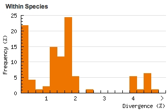 Divergence