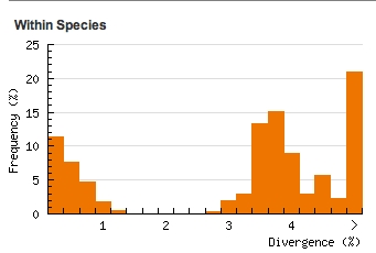 Divergence