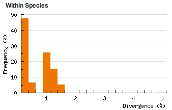 Divergence