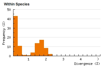 Divergence