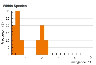 Divergence