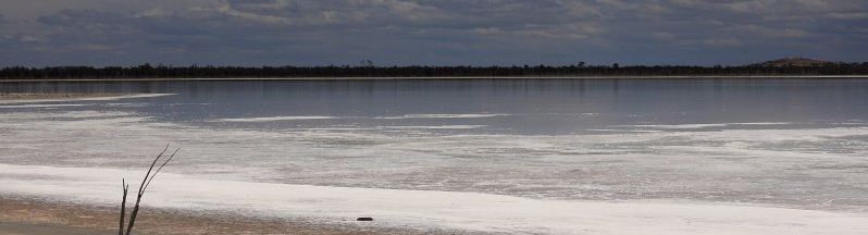 Whearbelt Saltpan.JPG