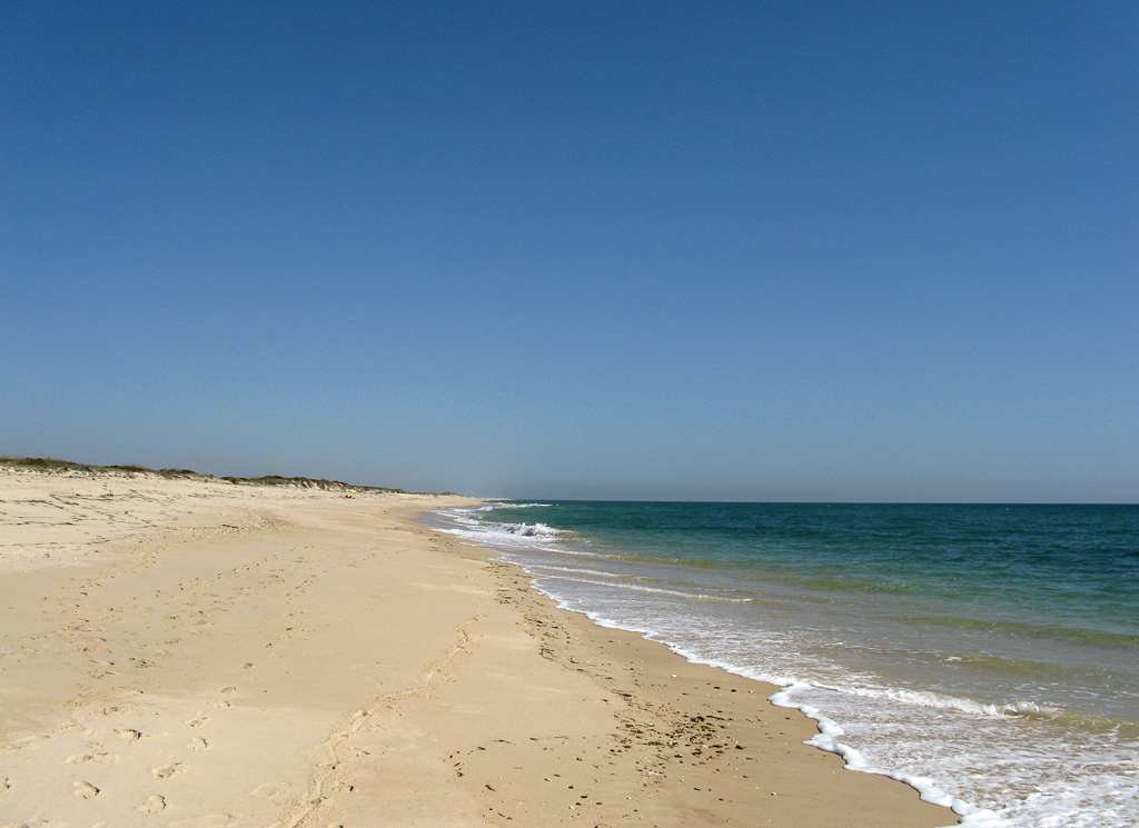 Ilha da Culatra