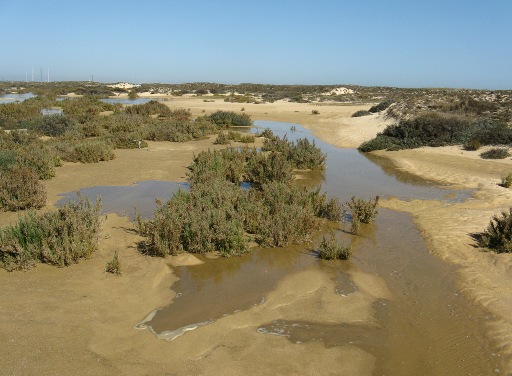Ilha da Culatra