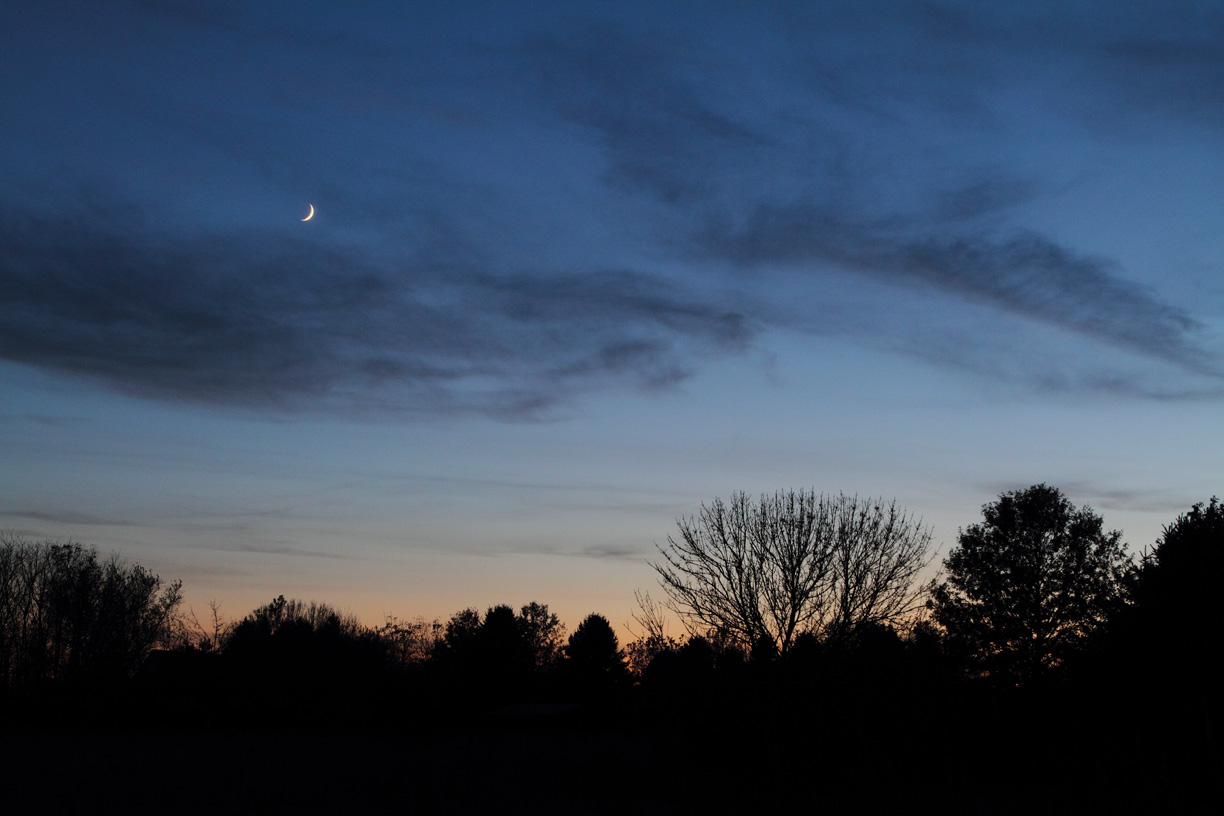 Fall Evening