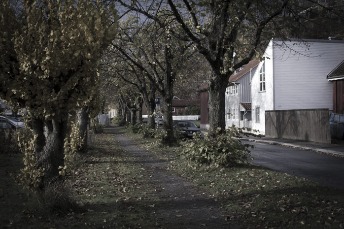 Halden Saturaday October 29th 2011 #1
