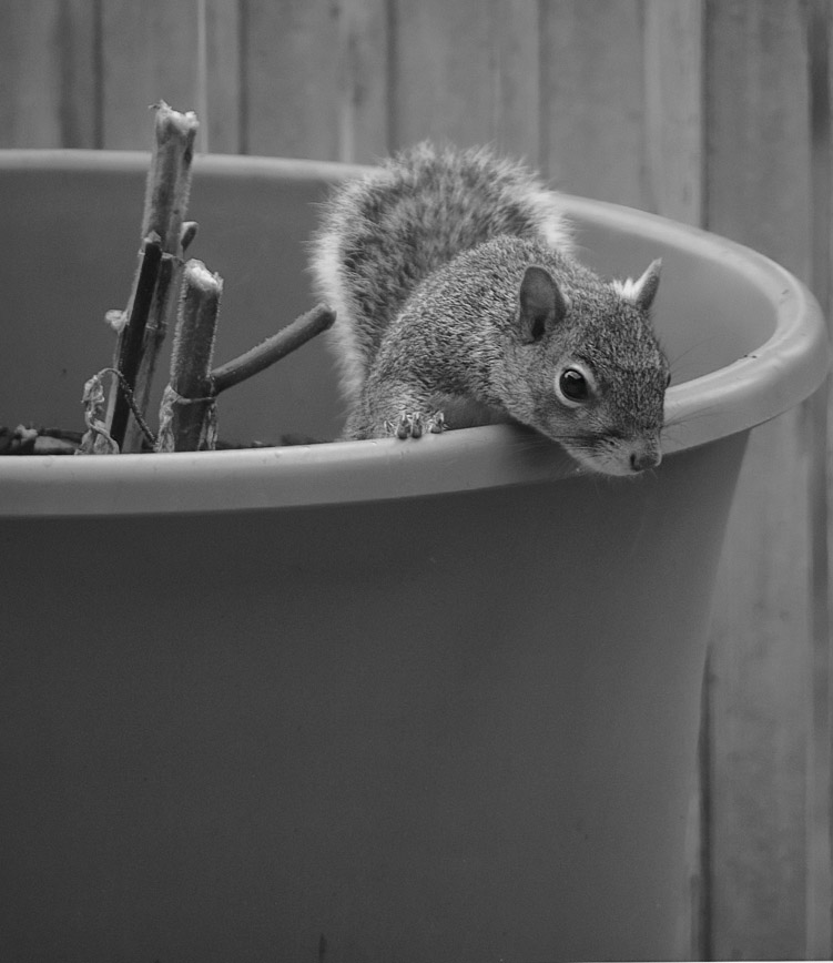 PB164769 Is it safe?