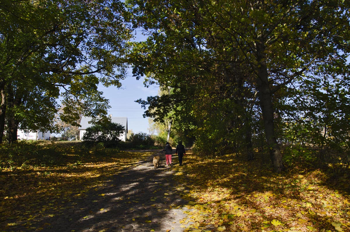 _DSC0905.jpg