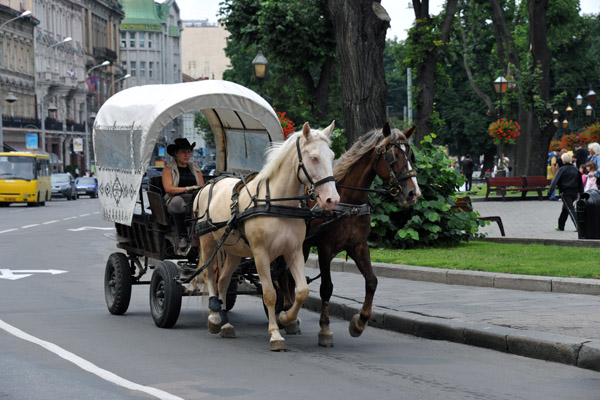 Horse-drawn wagon, Lviv