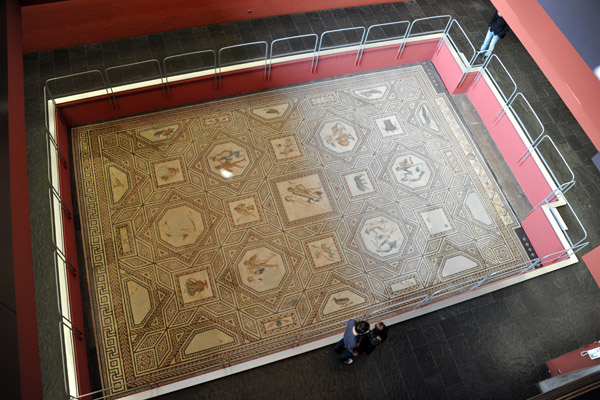 The mosaic was left in position and the Rmisch-Germanisches built around it