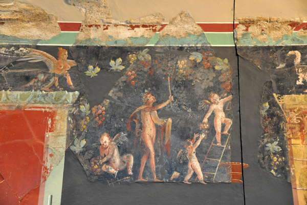 Roman wall-paintings from a villa in Cologne