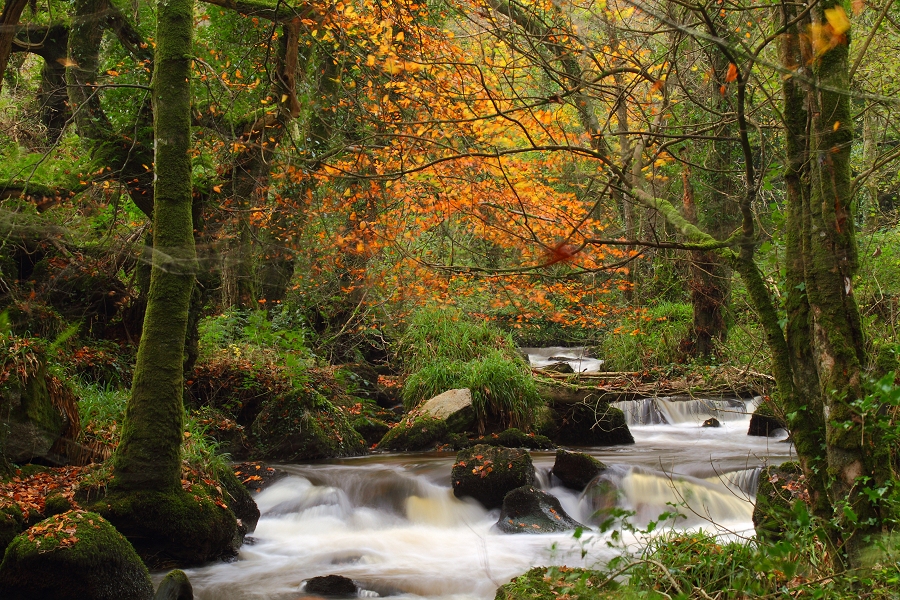 River Par, Pontsmill