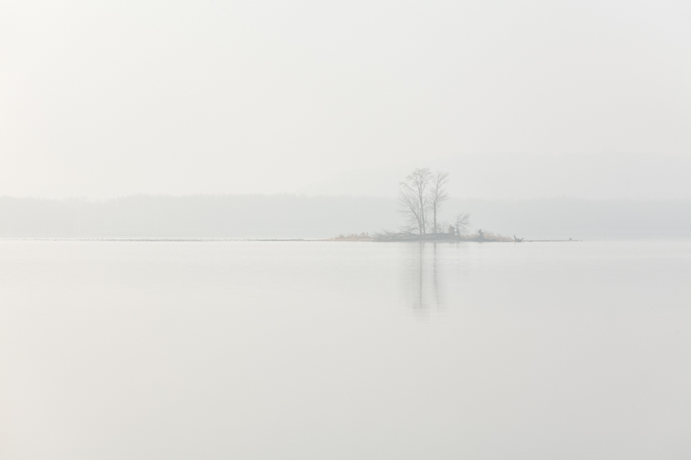 Island in the Fog