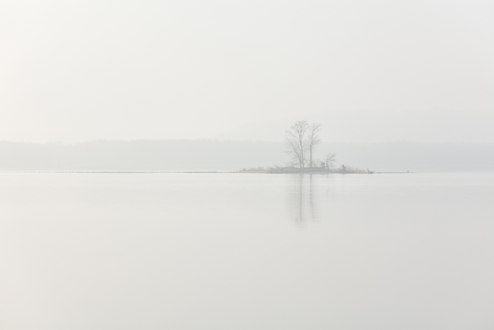 Island in the Fog