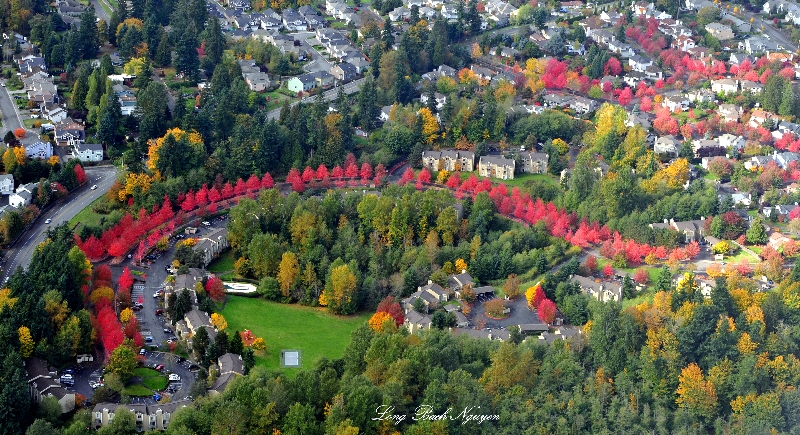 red driveway