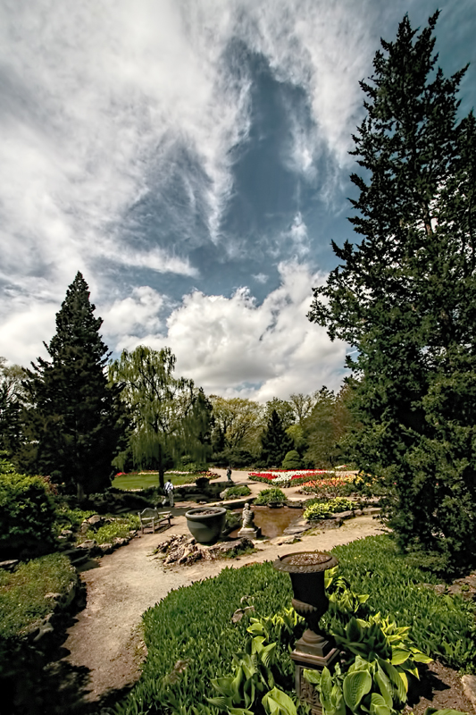 The Rock Garden 