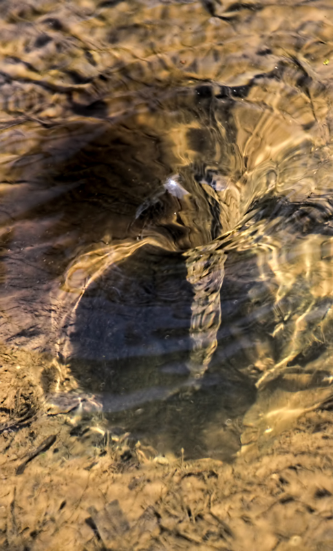 The Whirlpool 