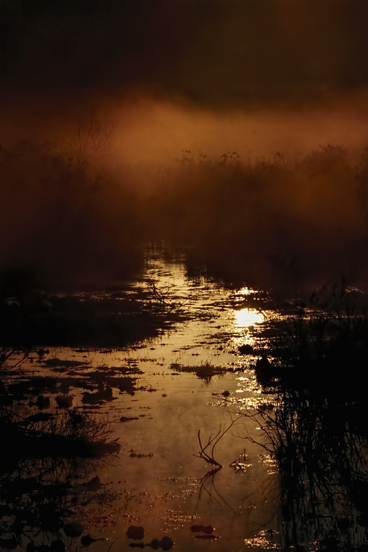 Early Morning Mist 