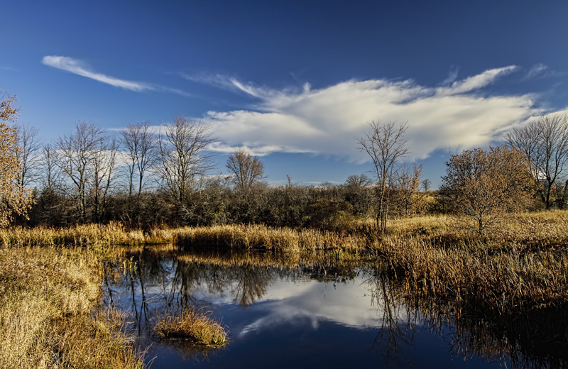 Wetlands 
