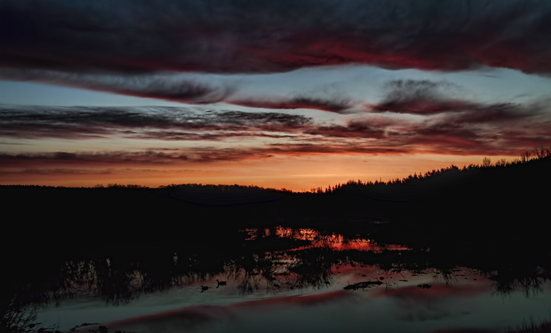 Wetland Sunrise 