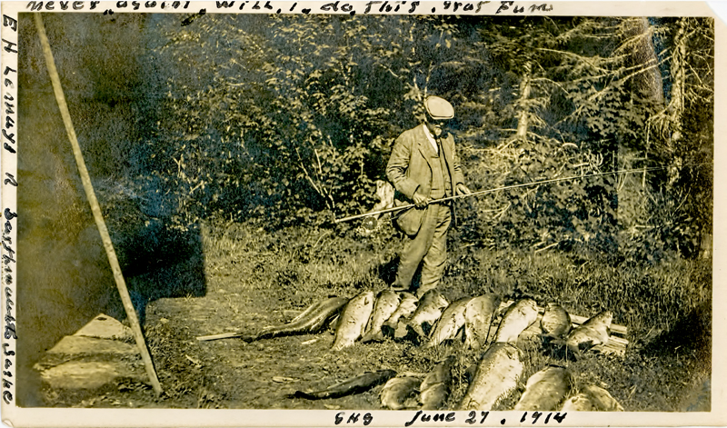 Quite the Haul R.jpg
