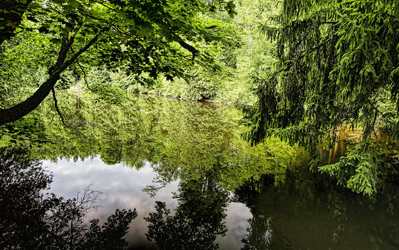 Very Green 