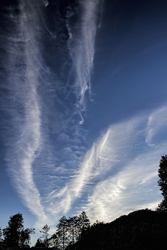 White Clouds 