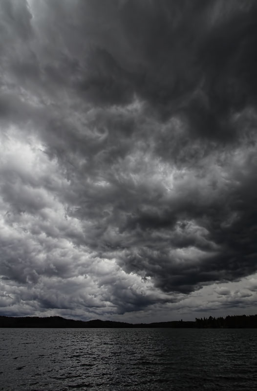 Dark Skies in Algonquin 