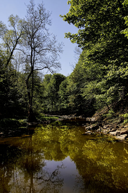 River Reflections 