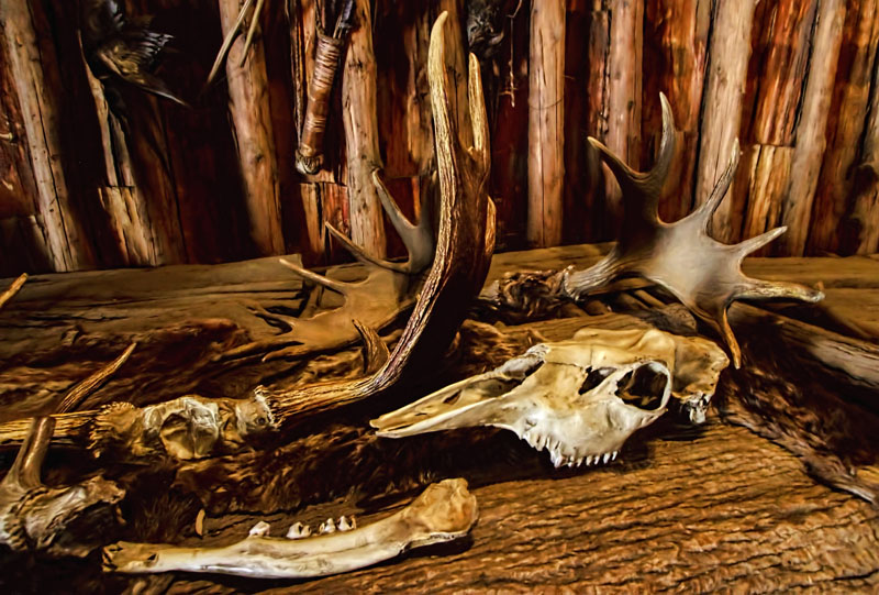 Inside the Longhouse 2 