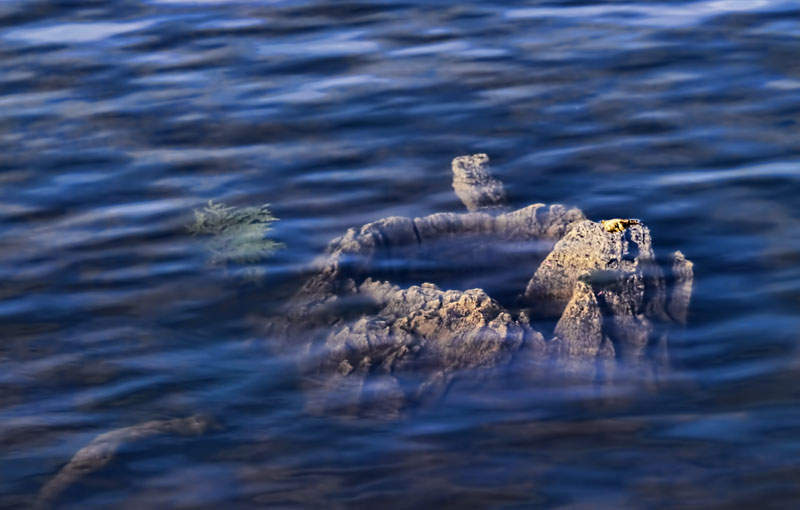 Stump 