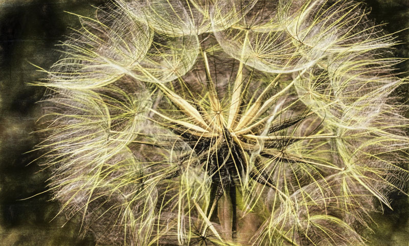 Plant Bit Macro 