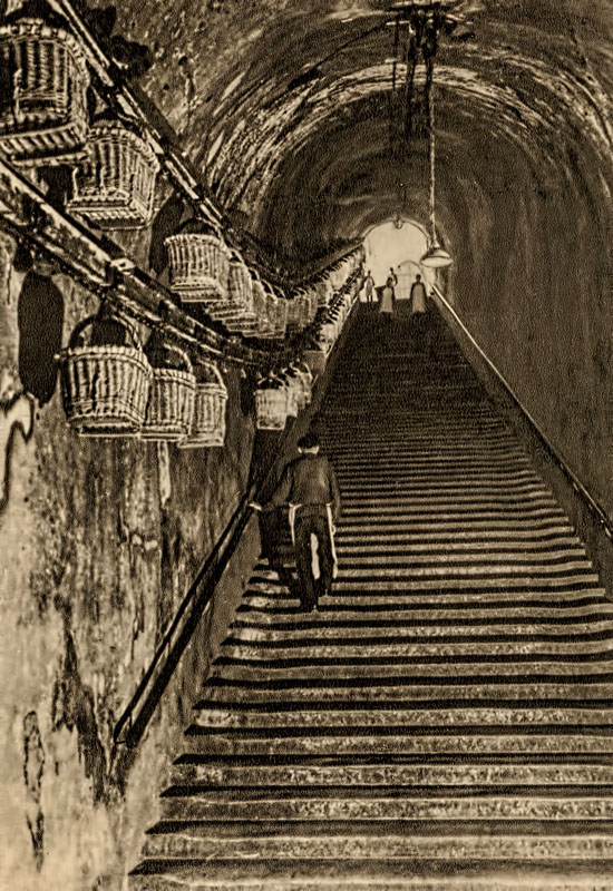 Champagne Steps 
