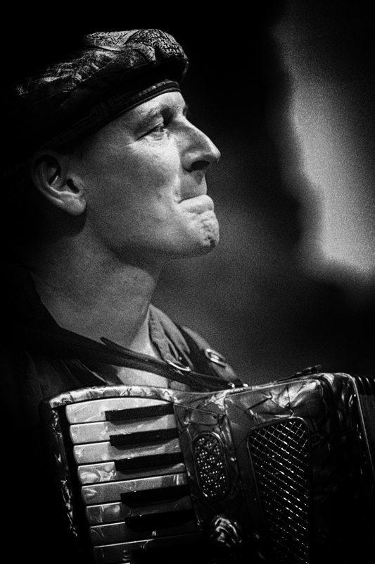 The Accordion Player 