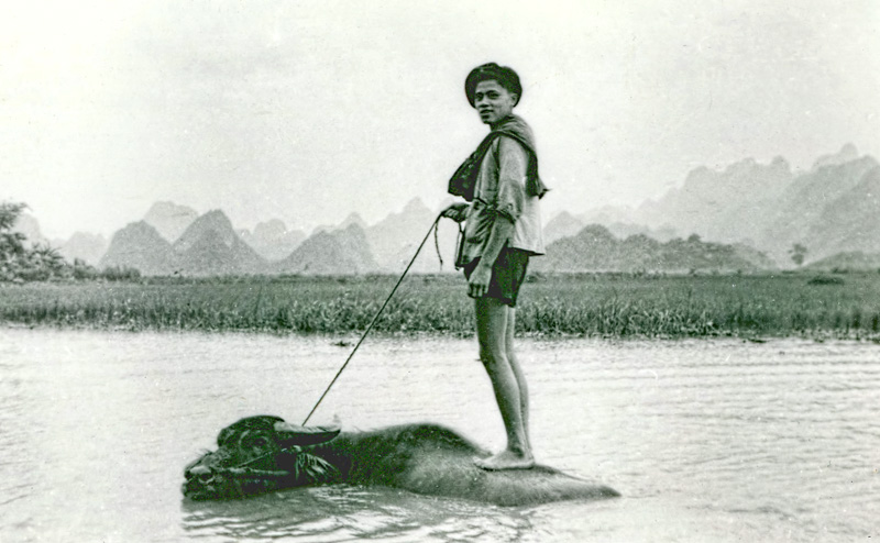 Vietnam 