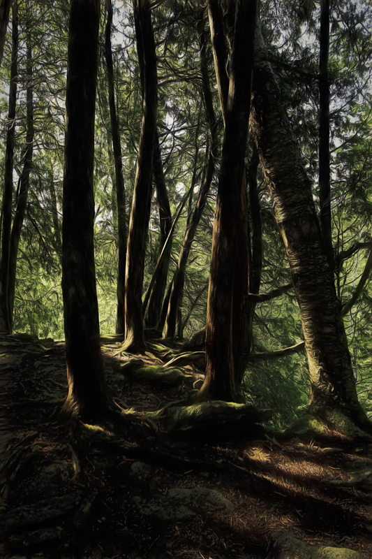 Trees 