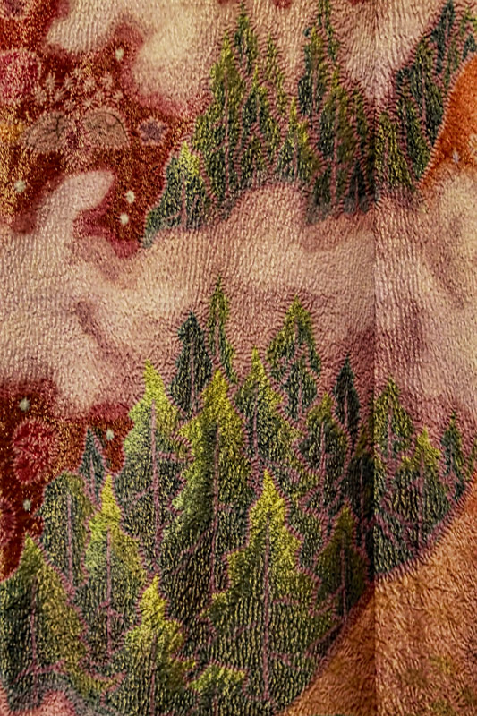 Kimono Detail