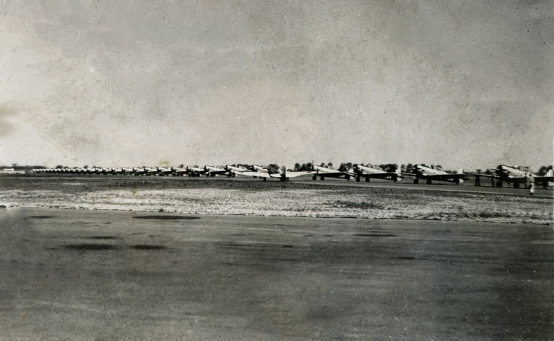 Harvards
