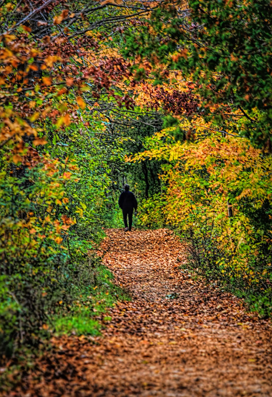 On the Trail